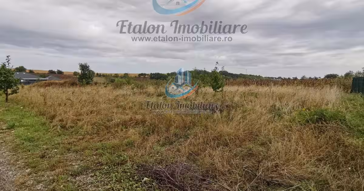 Teren drept 1260 mp, deschidere de 50 m, Loc. Dobreni, Jud Neamt