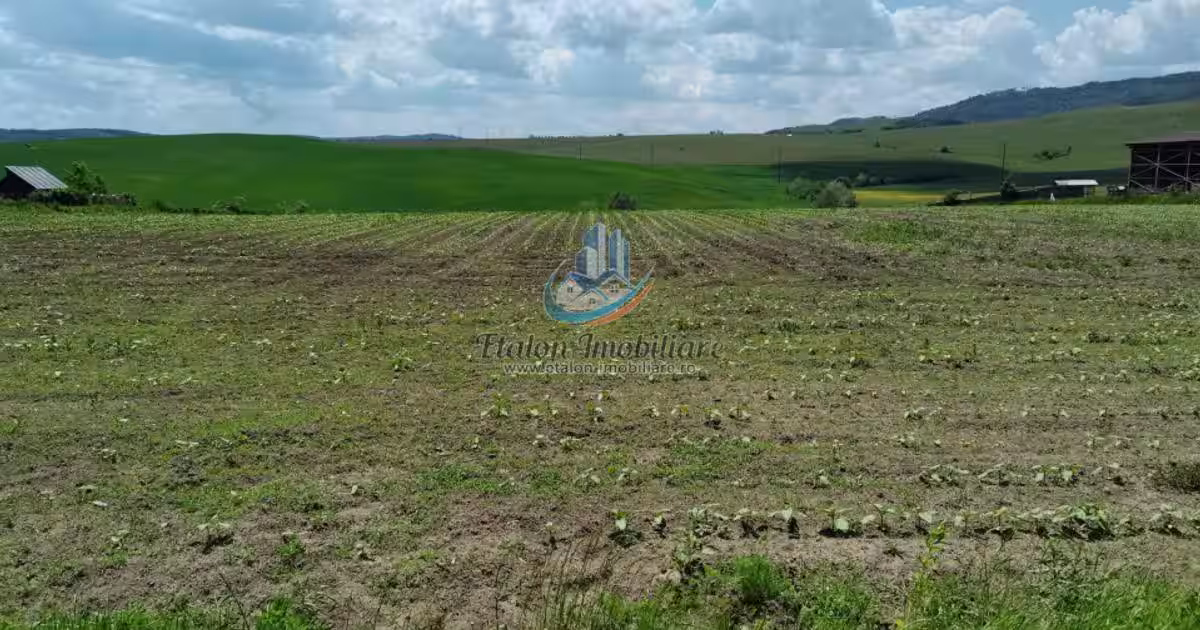 Teren 8500mp+8500 mp, deschidere 32 m+32 m, Negresti, Jud. Neamt