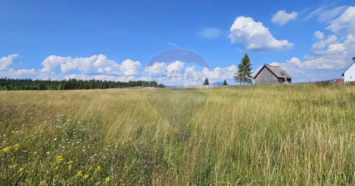 Teren Construcții intravilan de 30930 mp, în Poiana Stampei