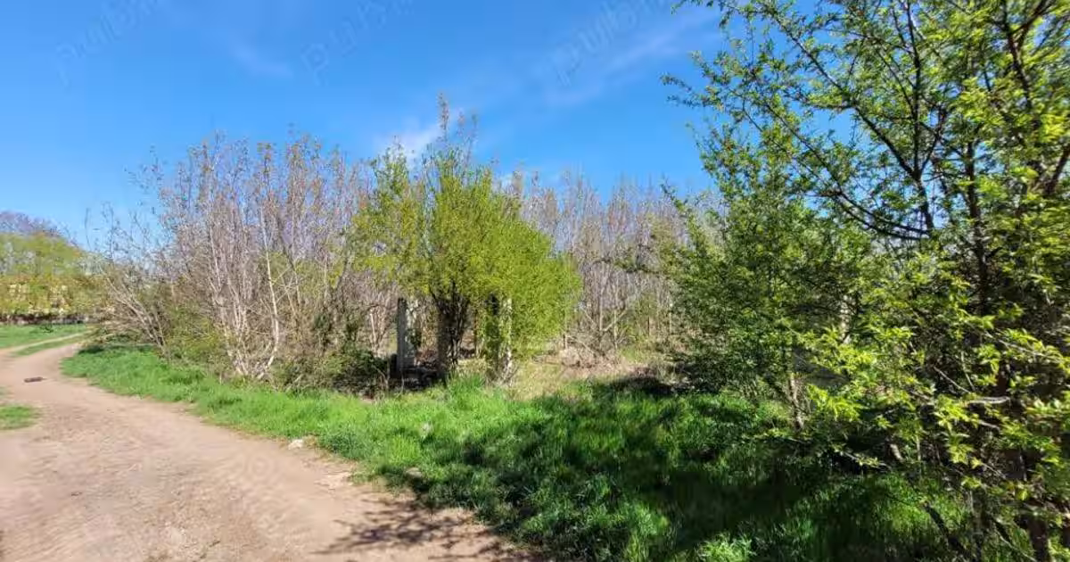 Teren Construcții intravilan de 656 mp, în Postăvari