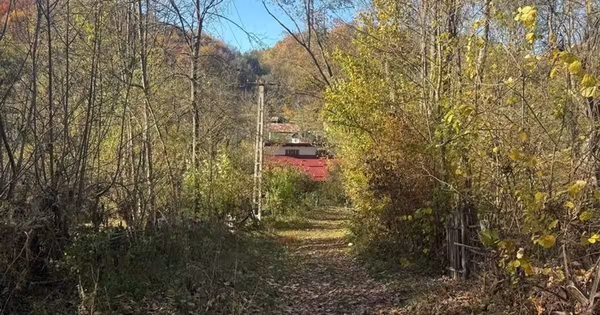 Teren Construcții intravilan de 6400 mp, în Provița de Sus