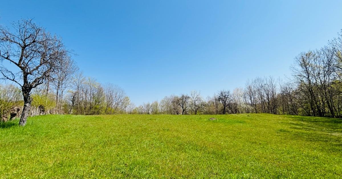 Teren 3.800 mp | Pucioasa, Dâmbovița | Natură, liniște și acces dublu