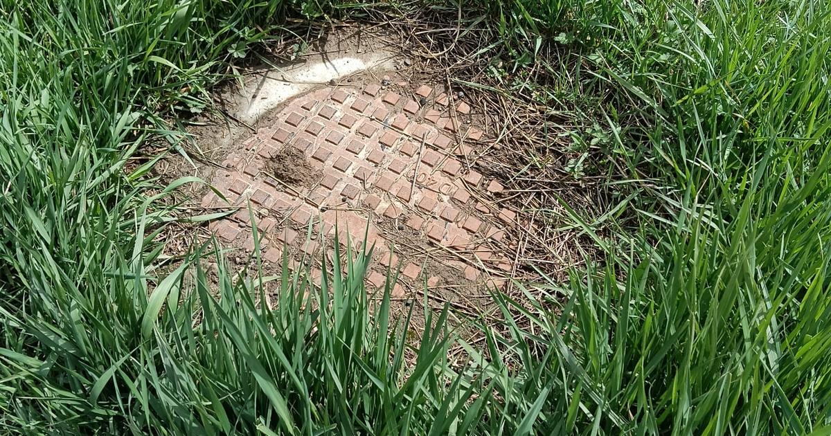 Teren Construcții intravilan de 3150 mp, în Roșiori