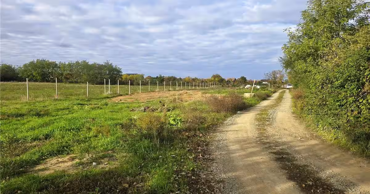 VIDEO | Teren intravilan - 657 mp | Micula, Satu Mare