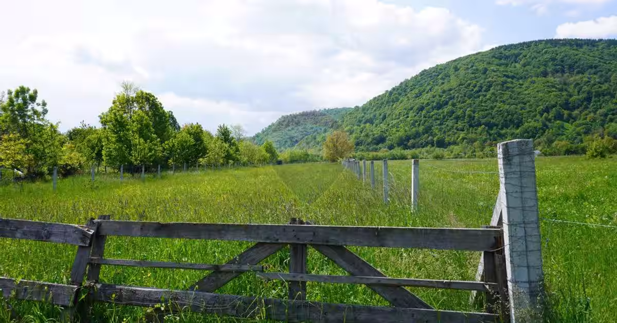 Teren 2,486mp Sighetu Marmatiei / Strada Constantin Dobrogeanu-Gherea