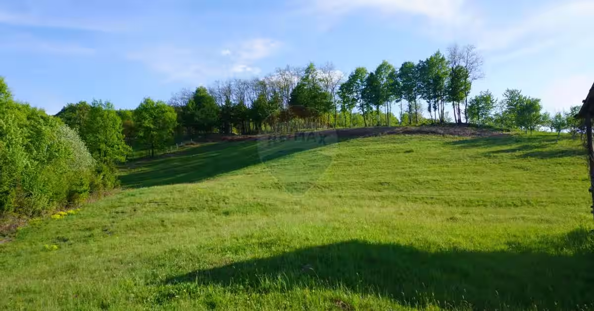 Teren 15,000mp Sighetu Marmatiei / Strada Mocăniței