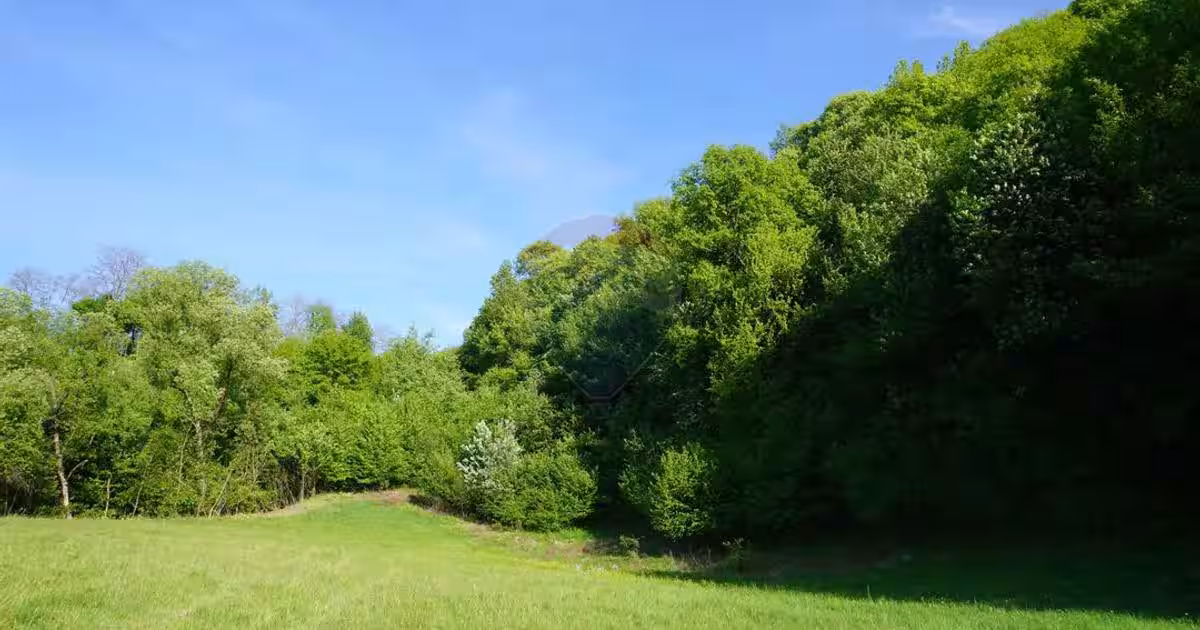 Teren 33,137mp Sighetu Marmatiei / Strada Mocăniței