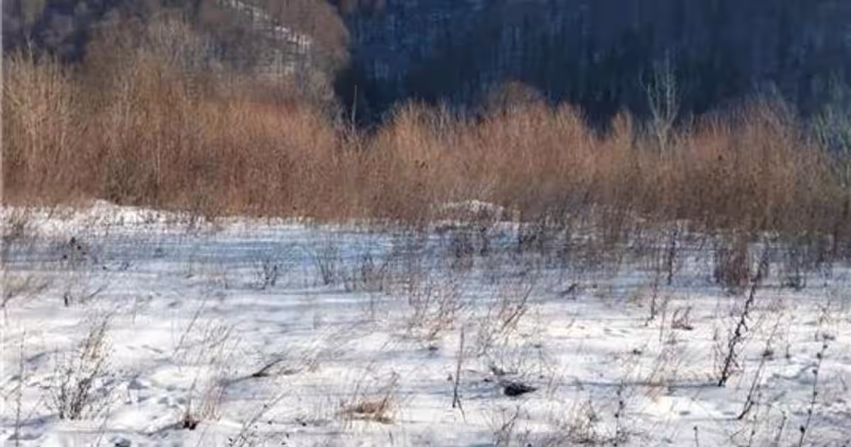 Teren Construcții intravilan de 4034 mp, în zona Calea București, Sinaia