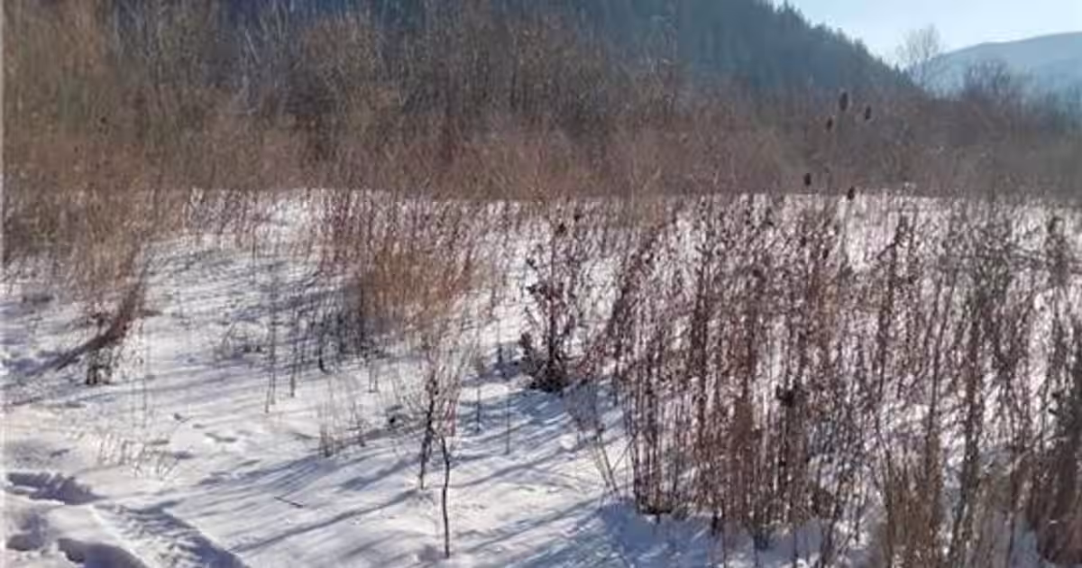 Teren Construcții intravilan de 444 mp, în zona Calea București, Sinaia