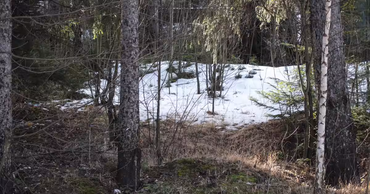Teren Construcții intravilan de 619 mp, în zona Central, Sinaia