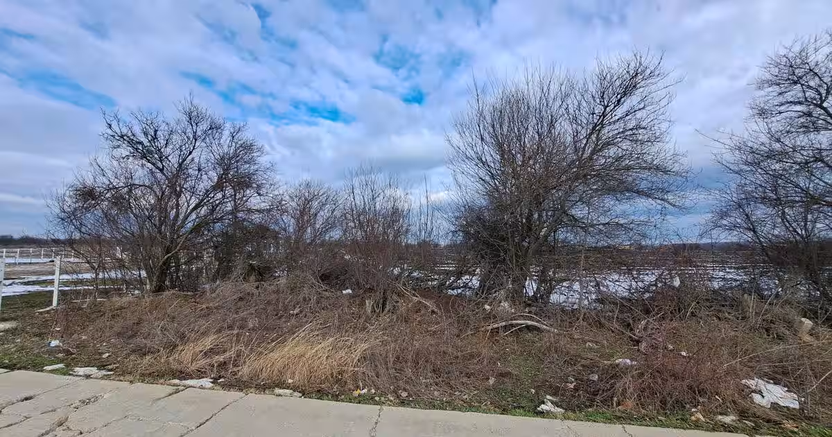 Teren Construcții intravilan de 5000.77 mp, în Snagov