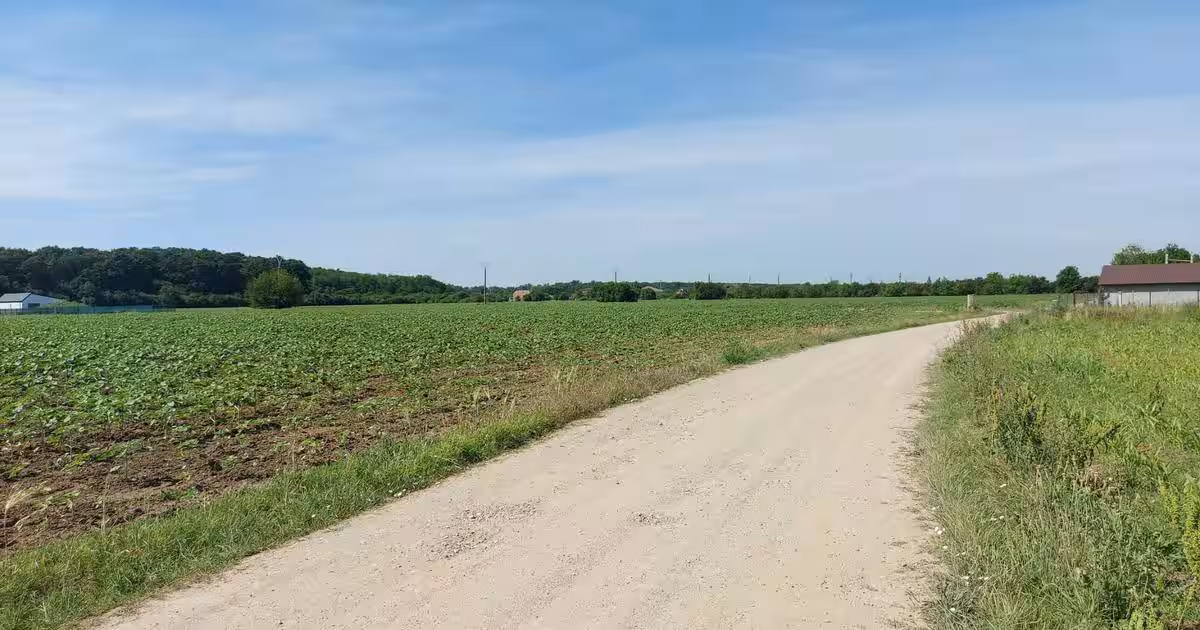 8.500 mp, cu deschidere la padure, dublă deschidere, Snagov –Ghermanesti