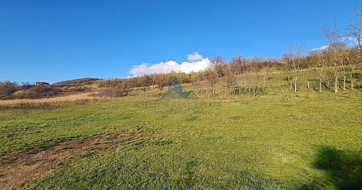 Teren Construcții intravilan de 2500 mp, în Șura Mare