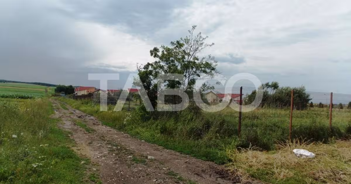 Teren Construcții extravilan de 10000 mp, în Șura Mică