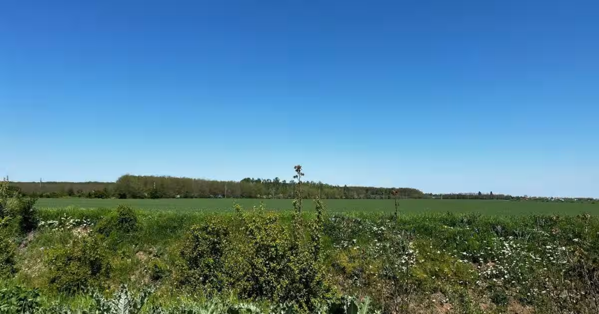 Teren Construcții intravilan de 1394 mp, în Tamași