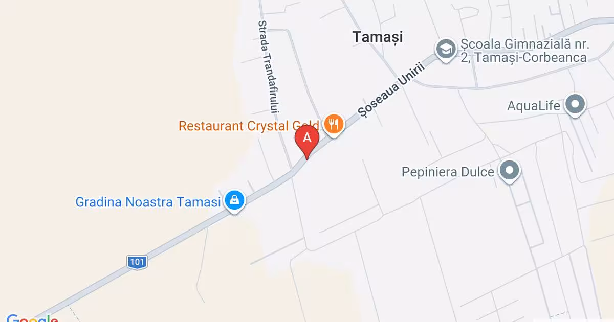 Teren Construcții intravilan de 2647 mp, în Tamași
