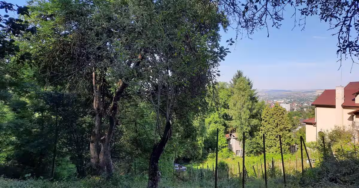 Vand teren intravilan cu toate utilitatile in zona Platou-Cornesti