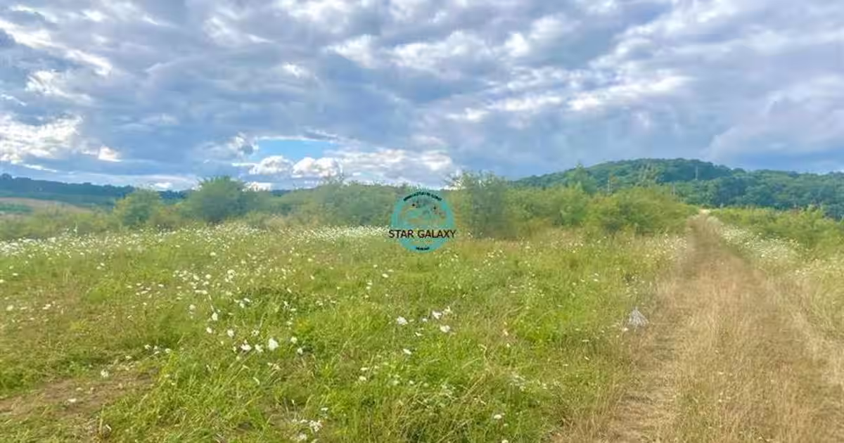 Vand teren intravilan cu suprafata 3300 mp in Livezeni