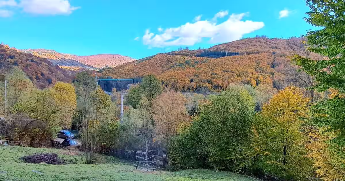 Vand teren cu vedere la lac, Valea Doftanei,Strada Lacului