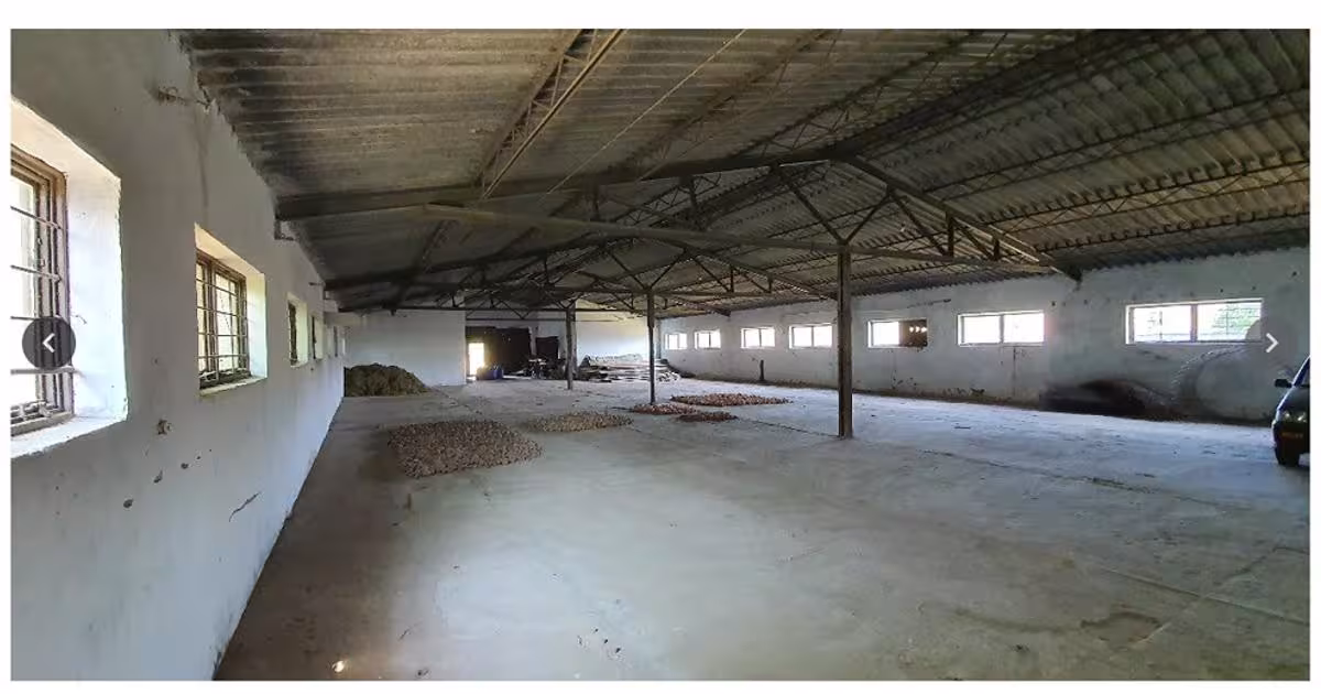 Teren Construcții intravilan de 24000 mp, în Tichilești