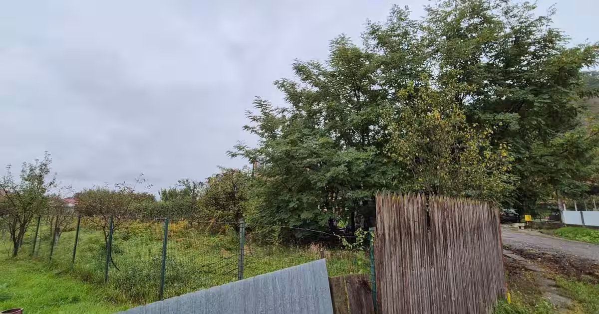 De vanzare teren intravilan - 500 mp- sat Tirimioara