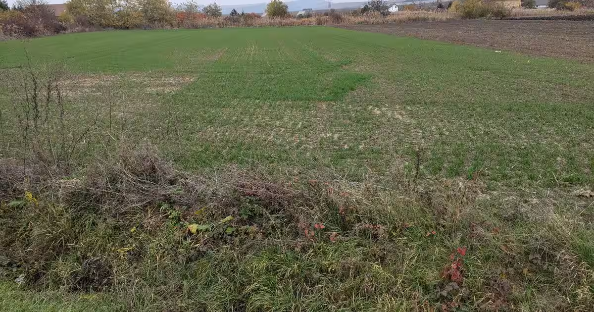 Teren Construcții intravilan de 5800 mp, în Ungheni