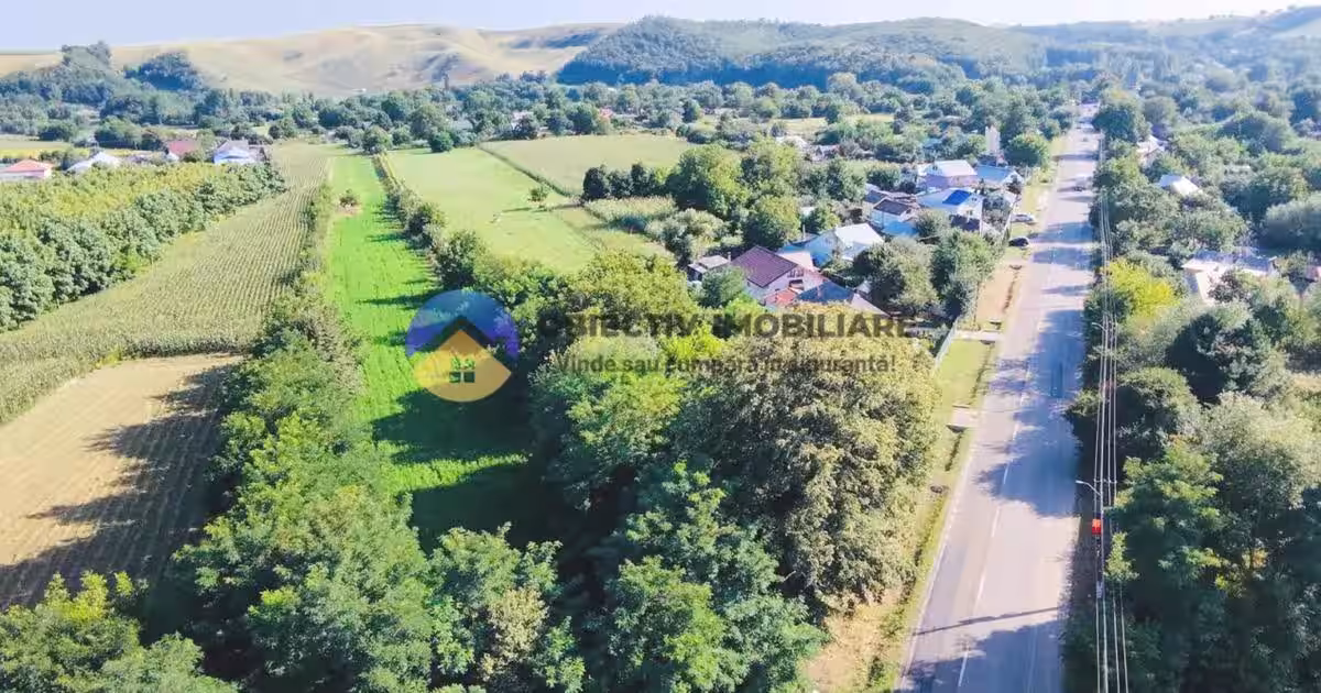 Teren Construcții intravilan de 6764 mp, în Vad