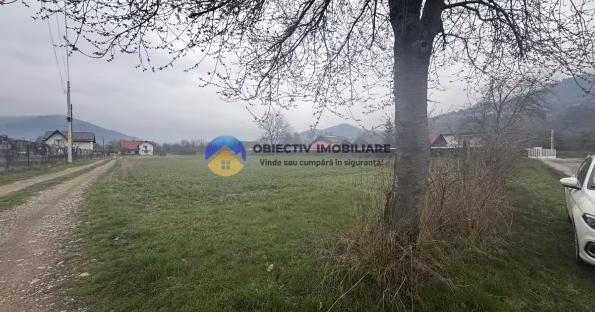 Teren Construcții intravilan de 1200 mp, în Vădurele (Alexandru cel Bun)