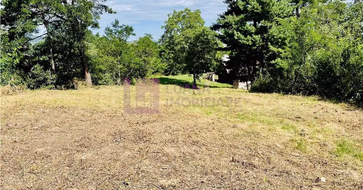 Teren Construcții intravilan de 3581 mp, în Vale