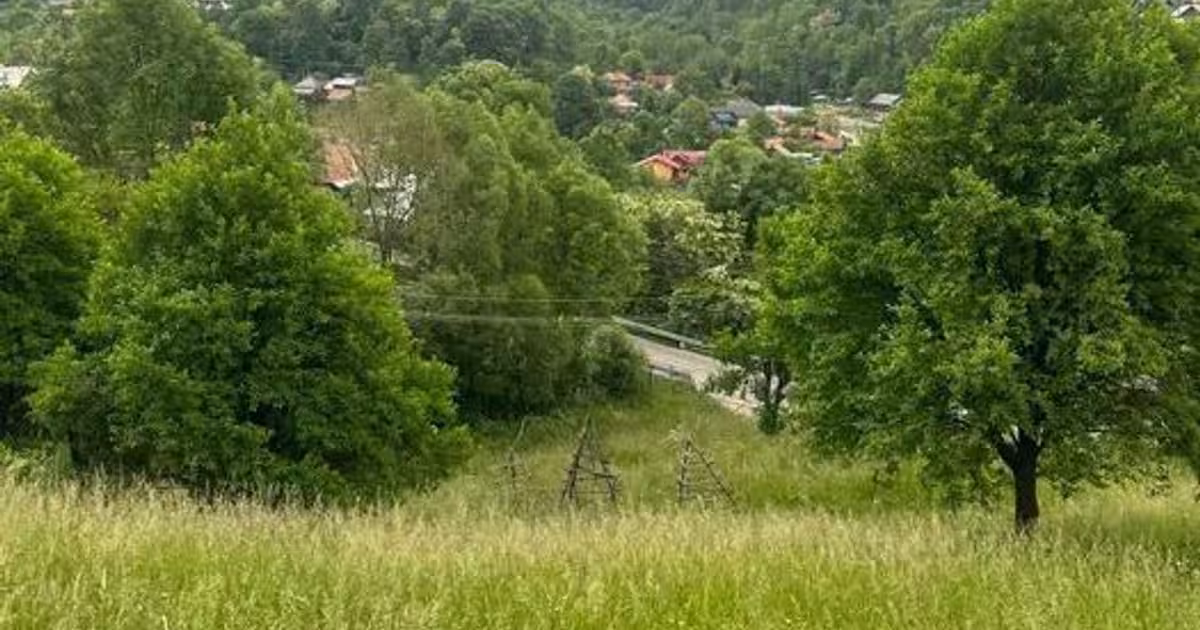 Teren Construcții intravilan de 7426 mp, în Valea Doftanei