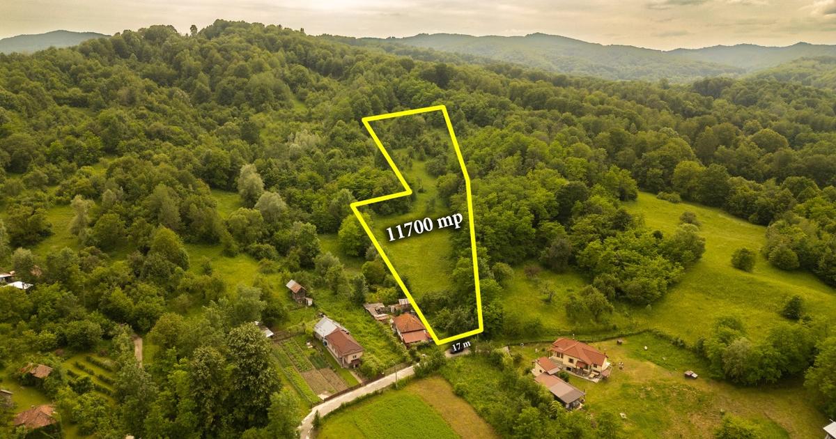Teren de 11600 mp în mijlocul naturii la 2 ore de București