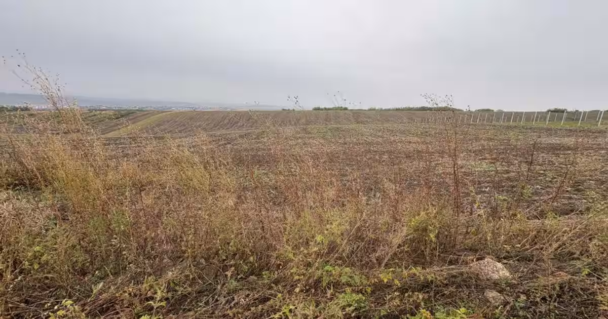 35euro/mp! Valea Lupului! Teren intravilan,28m l,oportunitate investitie!