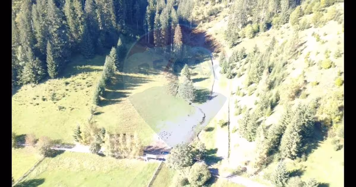 Teren Construcții intravilan de 9555 mp, în zona Periferie, Vatra Dornei