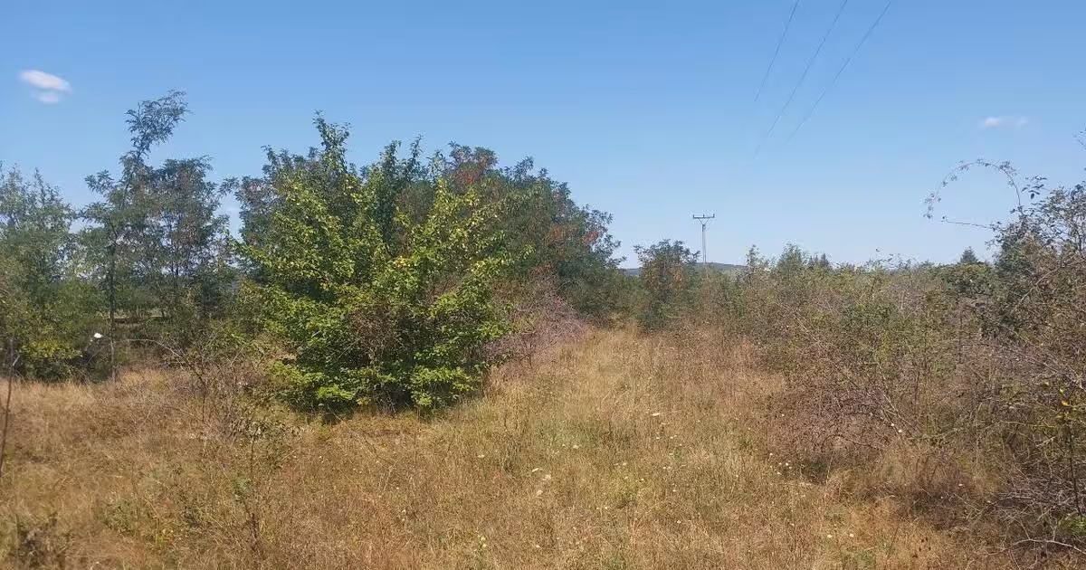 Teren Construcții extravilan de 15000 mp, în Vernești