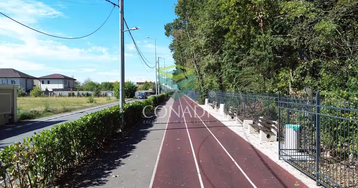 Teren - Voluntari - vis a vis de Padure - 10.000 mp