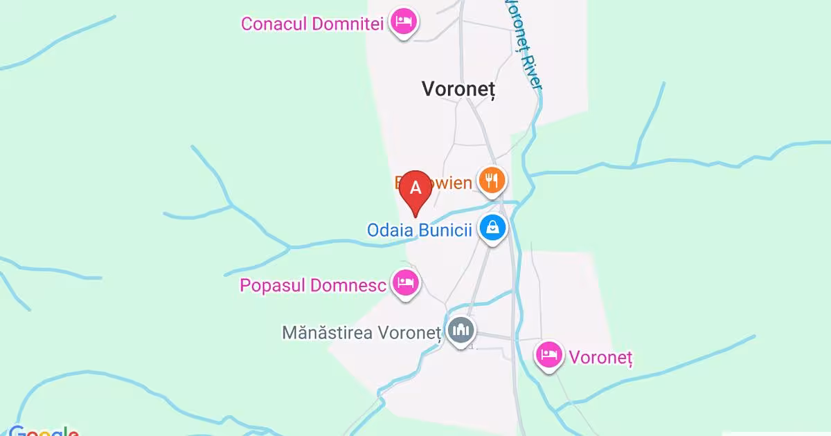 Teren Construcții intravilan de 9106 mp, în Voroneț