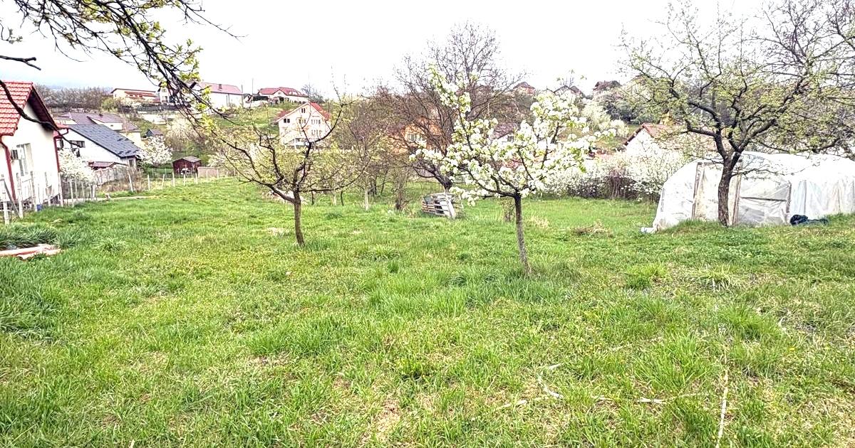 Teren Intravilan zona d-va 2 600mp cu toate utilitatile 100.000eur neg