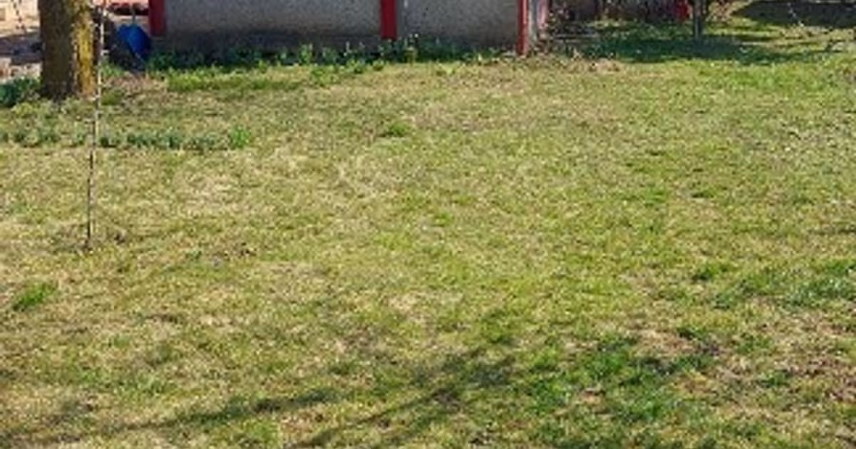 Teren extravilan de 1000 mp, în zona Sud-Vest, Carei