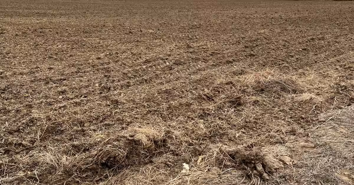 Teren intravilan de 7100 mp, în Cocoșești