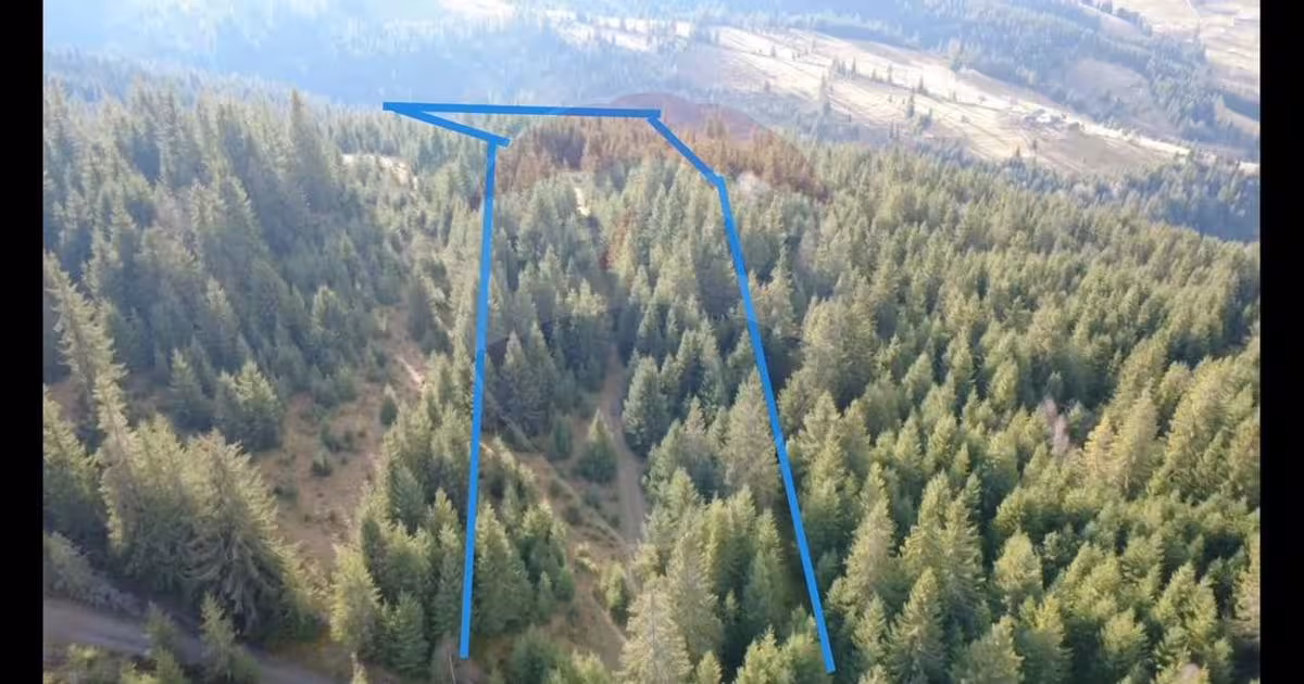 Teren extravilan de 17895 mp, în Dorna-Arini