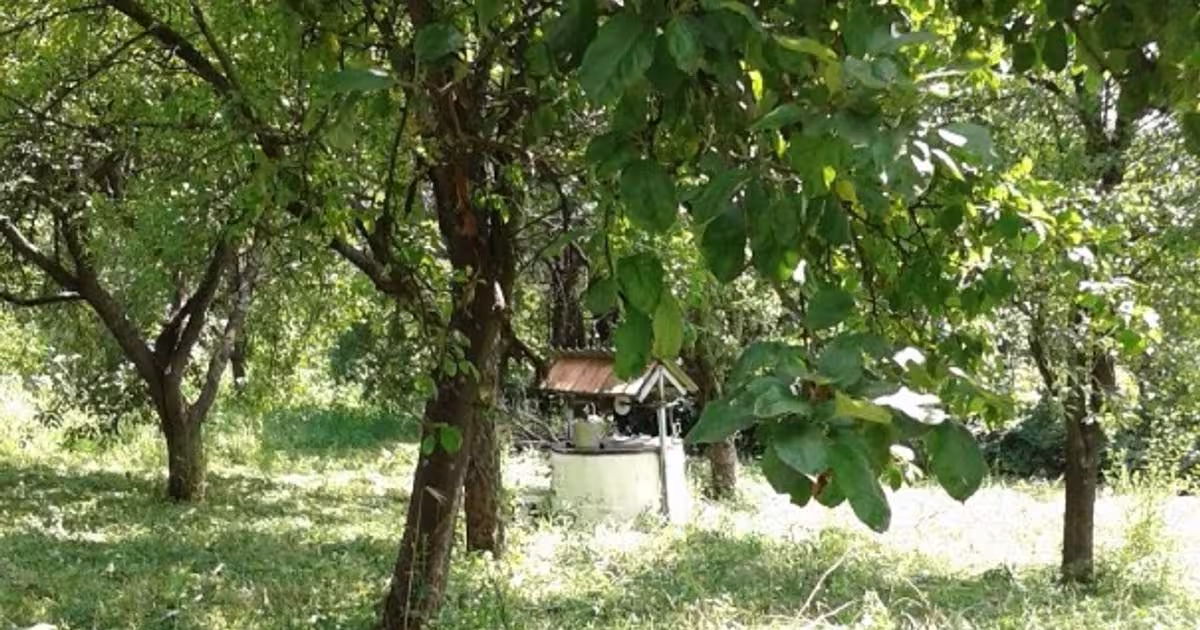 Teren intravilan de 6500 mp, în Giurtelecu Hododului