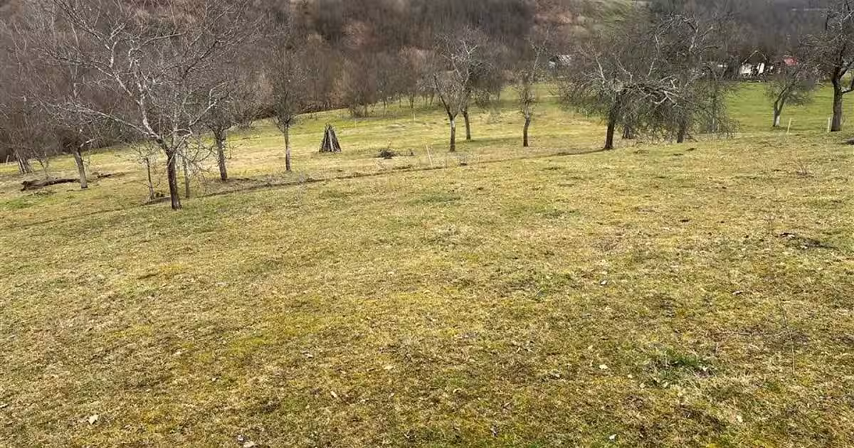Teren intravilan de 11423 mp, în Luncoiu de Jos