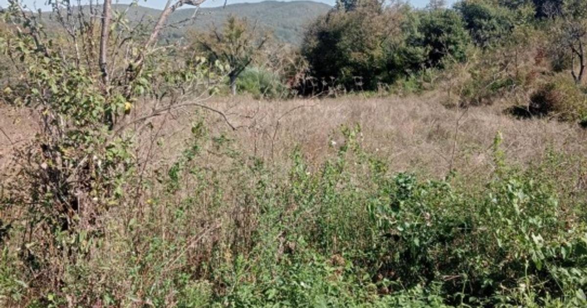 Teren intravilan de 3150 mp, în Moigrad-Porolissum