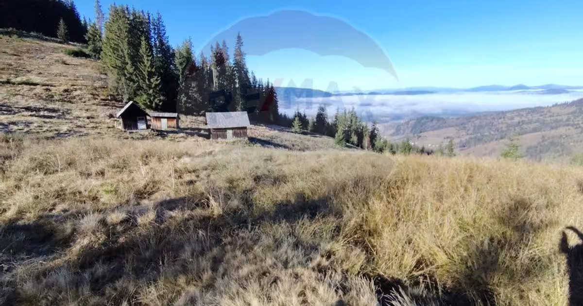 Teren extravilan de 31461 mp, în Panaci