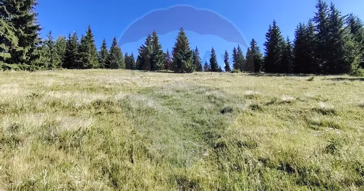 Teren extravilan de 47732 mp, în Panaci