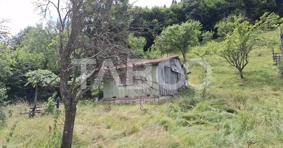 Teren extravilan de 2500 mp, în Rășinari