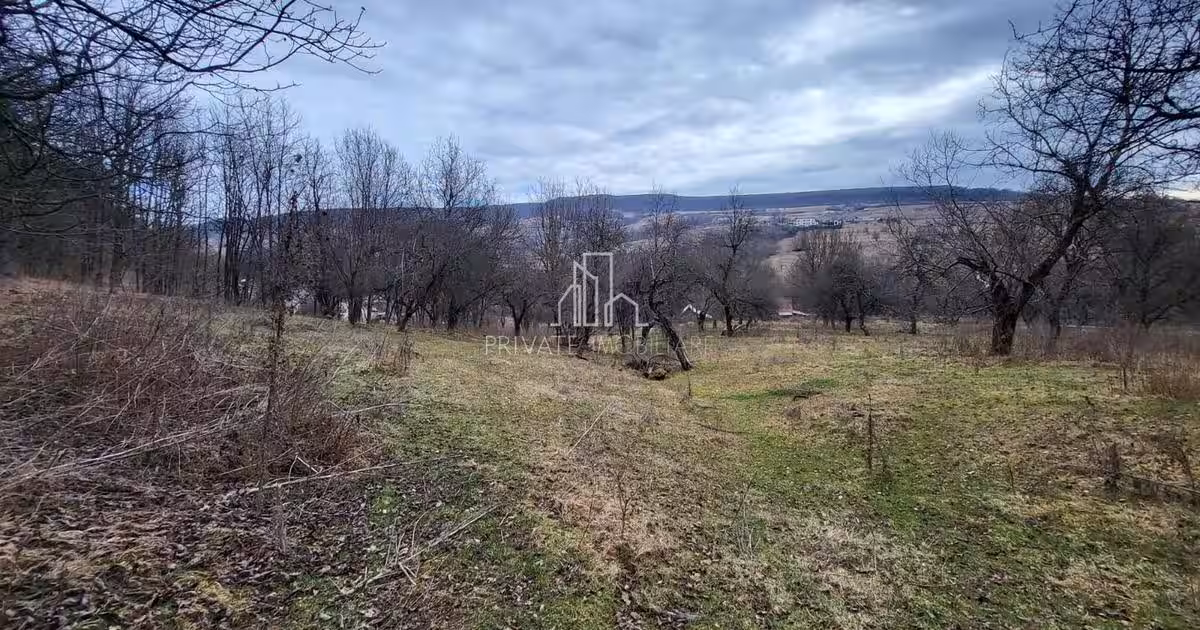 Teren de vanzare intravilan, 10 000 Mp , Sighisoara