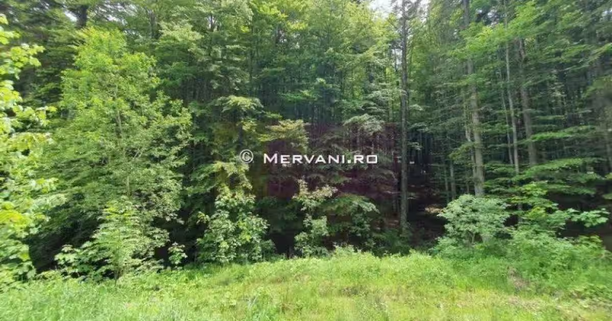 Teren intravilan de 2015 mp, în zona Furnica, Sinaia