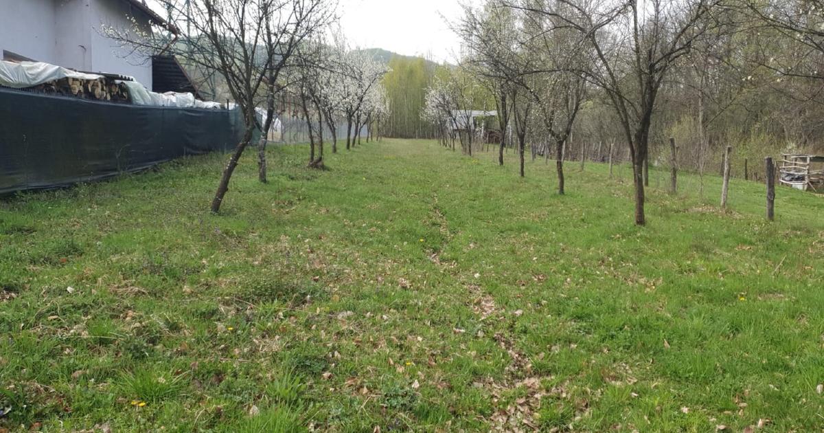Proprietate deosebită 5000 mp în Slătioara (Vâlcea) – Intabulat cu Pădure