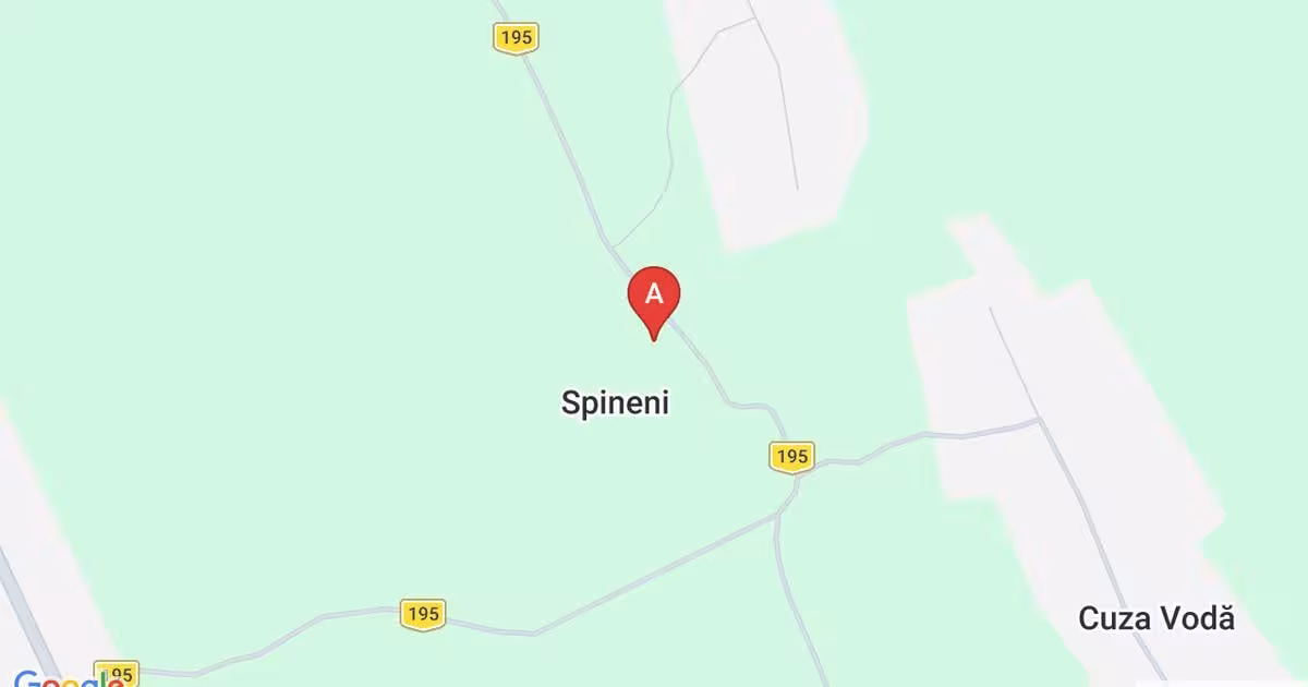 Teren extravilan de 10000 mp, în Spineni